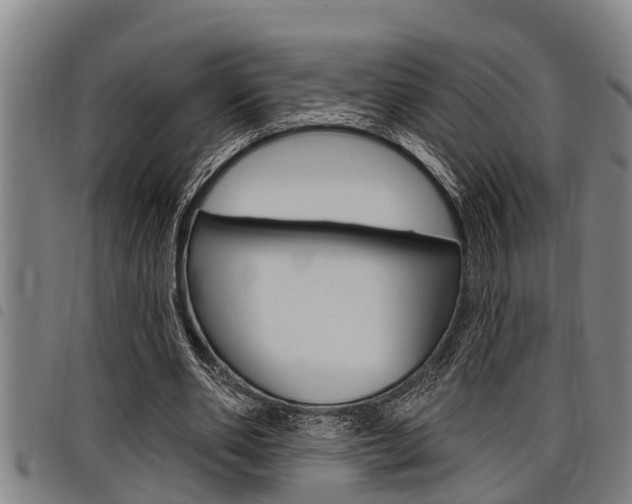X0000098110486200804040804