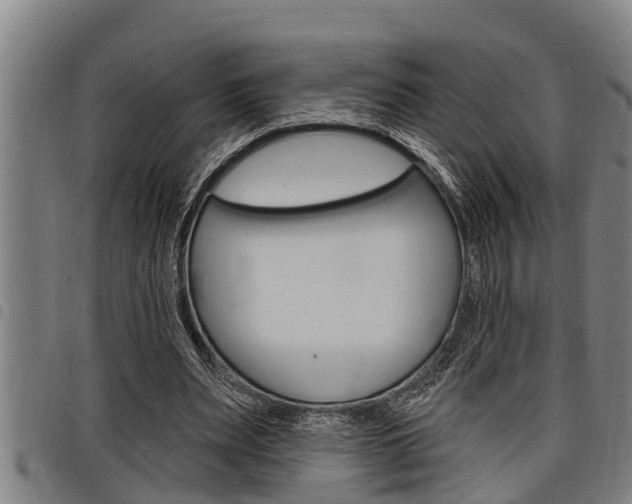 X0000098110487200804040804