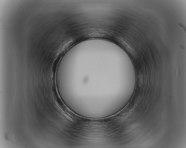 X0000098110490200804040804
