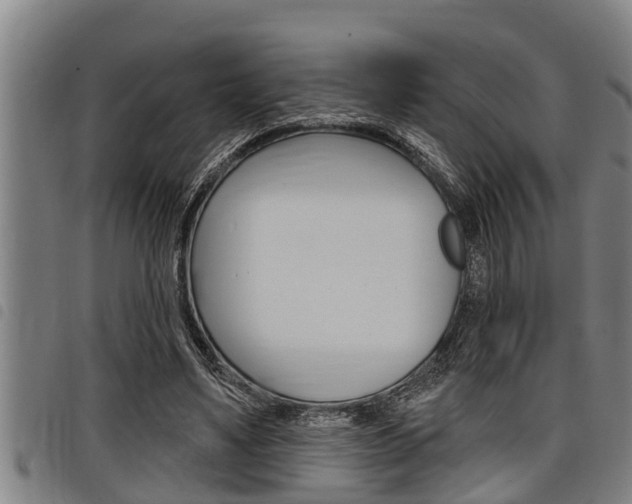 X0000098110491200804040804