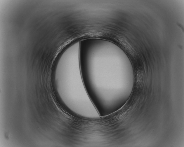 X0000098110492200804040804
