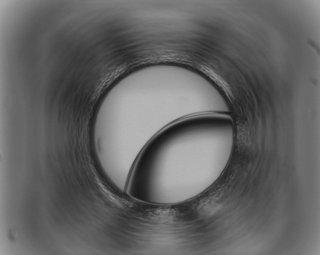 X0000098110493200804040804