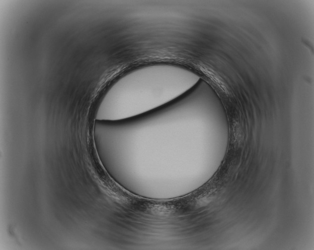 X0000098110494200804040804