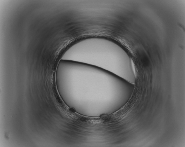X0000098110495200804040804