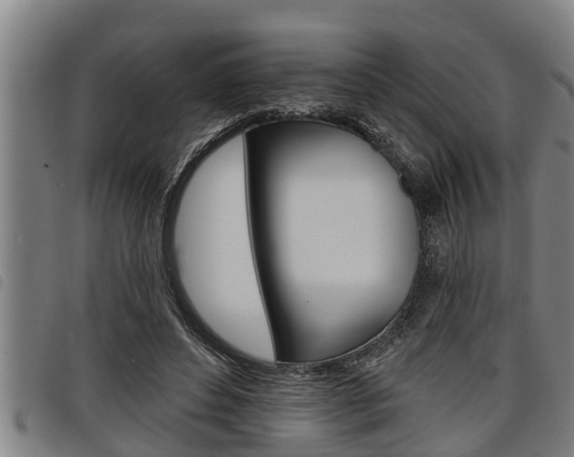 X0000098110496200804040804