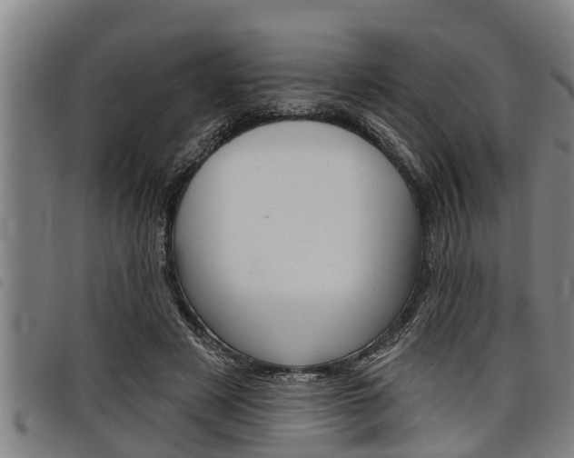 X0000098110497200804040804
