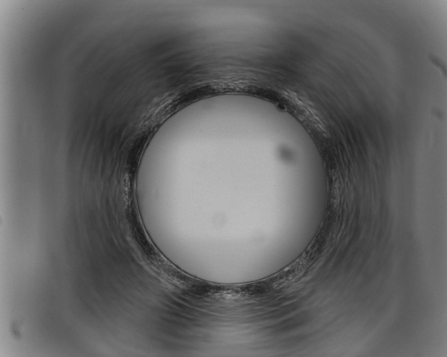 X0000098110498200804040804