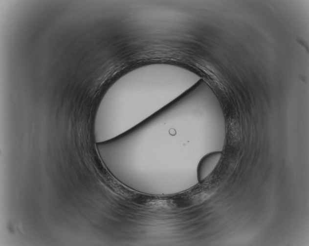 X0000098110499200804040804