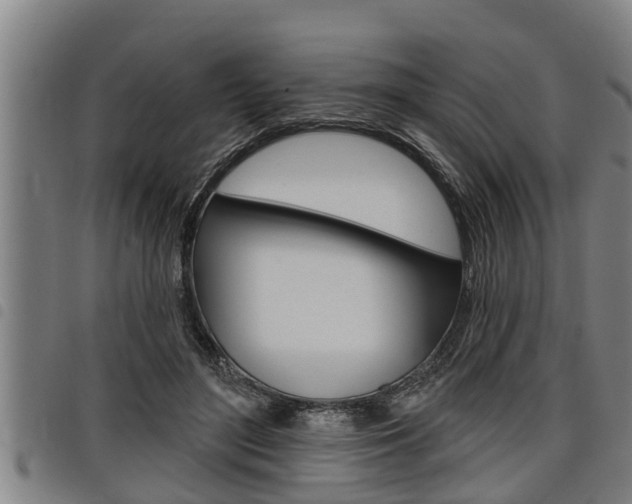 X0000098110500200804040804