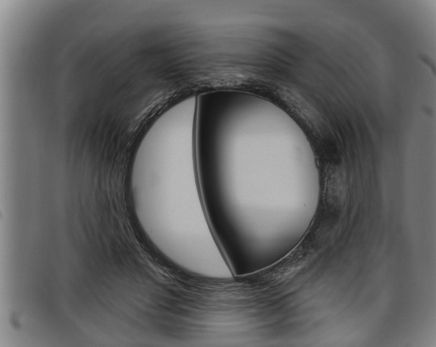 X0000098110501200804040804