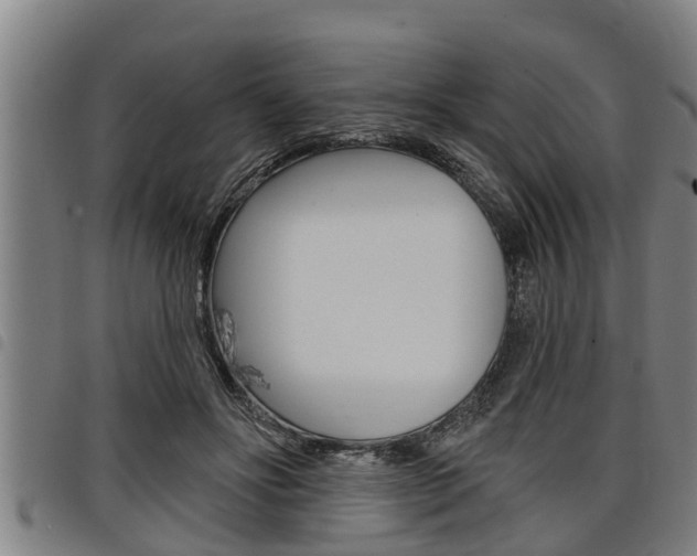 X0000098110502200804040804
