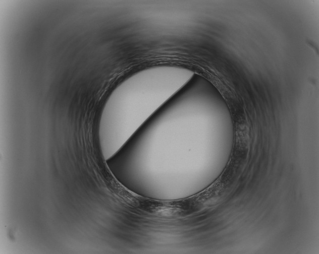 X0000098110504200804040804