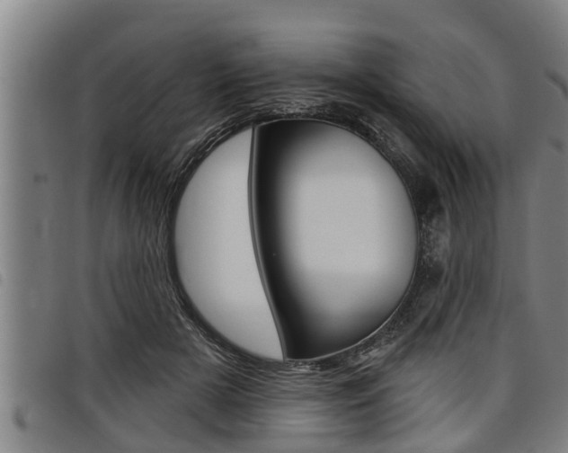 X0000098110505200804040804
