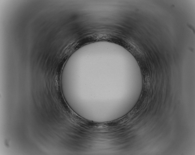 X0000098110506200804040804