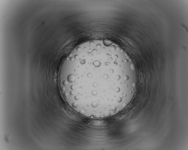 X0000098110507200804040804