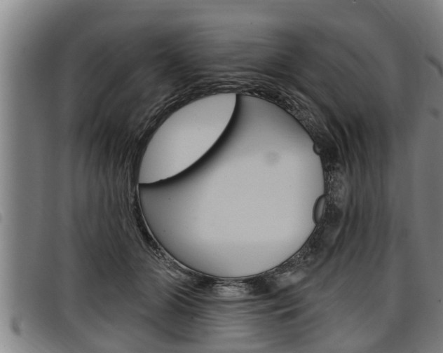 X0000098110510200804040804