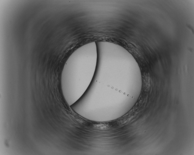 X0000098110511200804040804