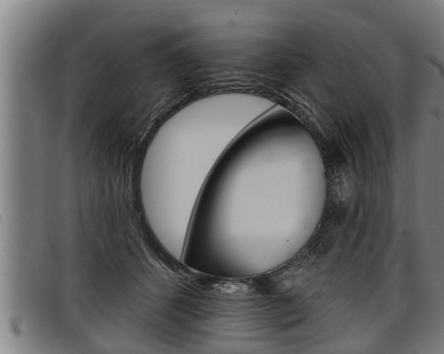 X0000098110512200804040804