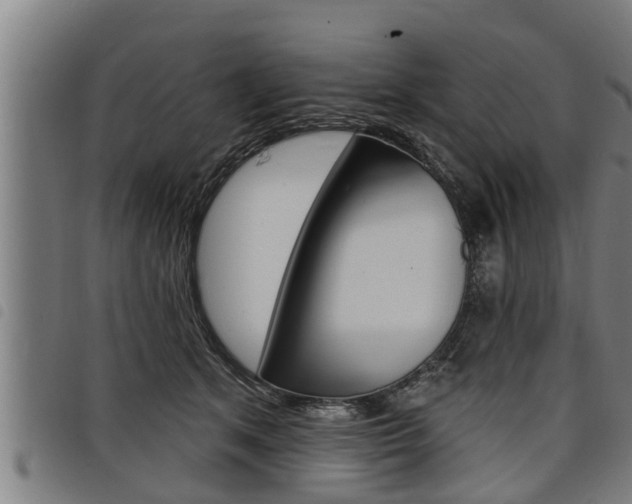 X0000098110513200804040804