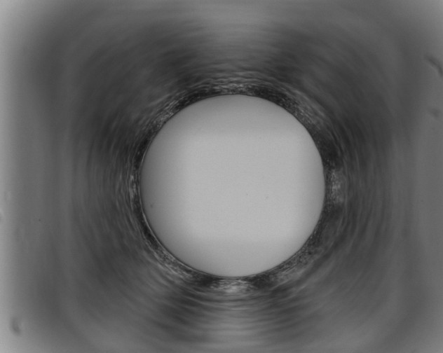 X0000098110514200804040804