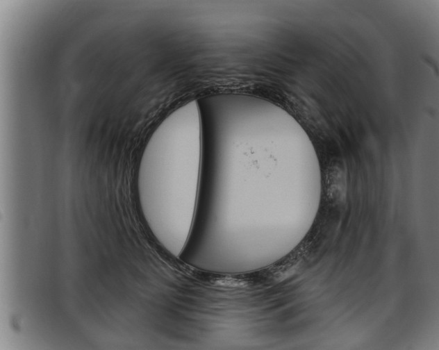 X0000098110515200804040804