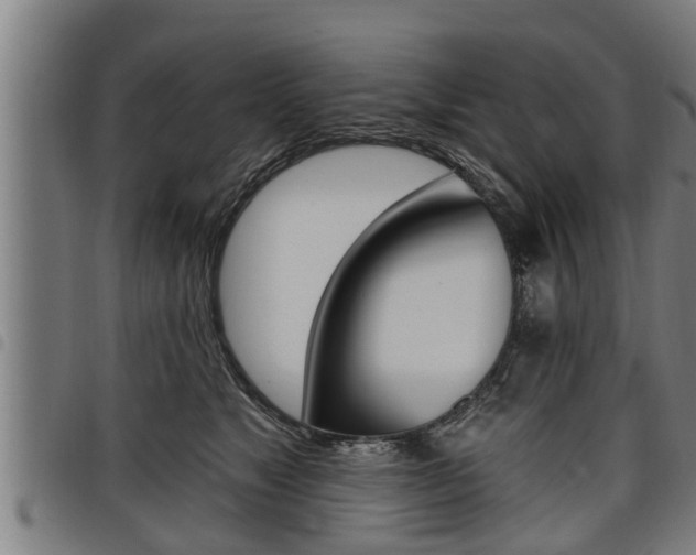 X0000098110517200804040804