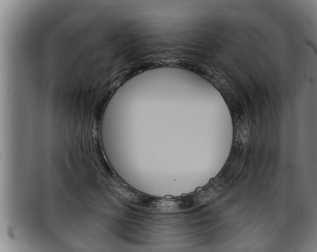 X0000098110518200804040804