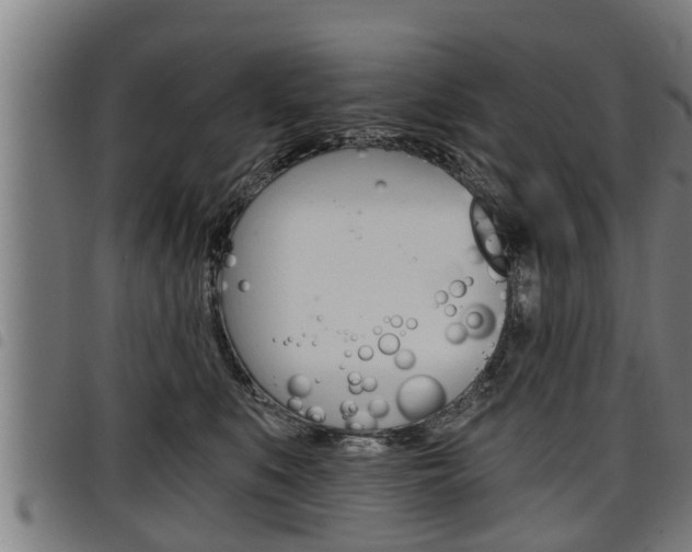 X0000098110519200804040804