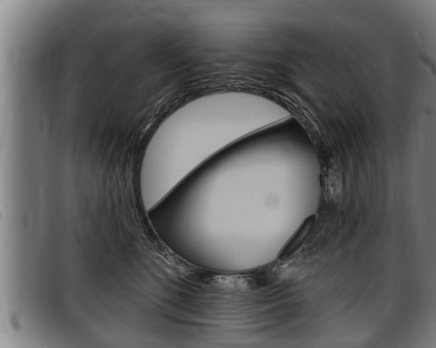 X0000098110520200804040804