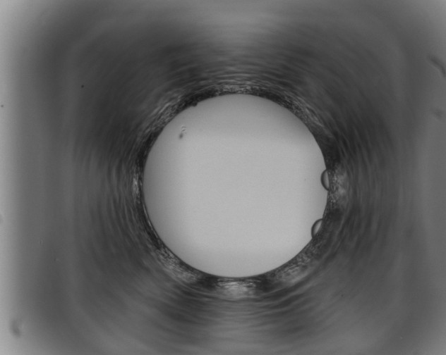 X0000098110522200804040804