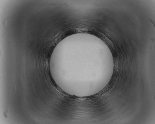 X0000098110523200804040804