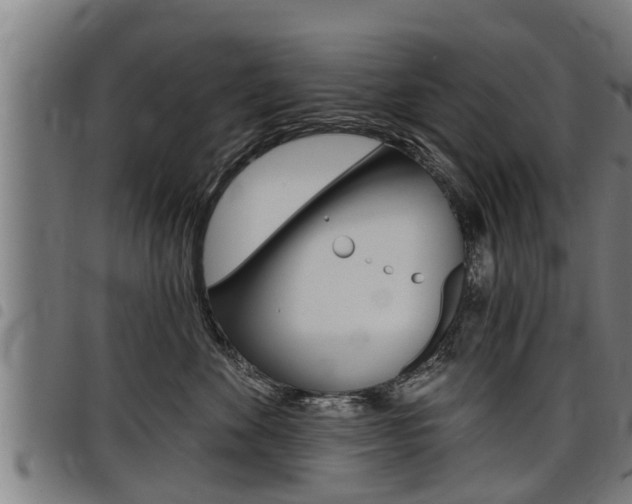 X0000098110524200804040804
