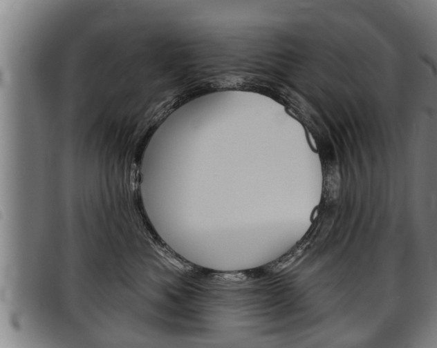 X0000098110525200804040804