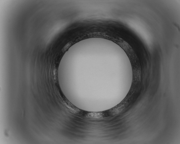 X0000098110526200804040804