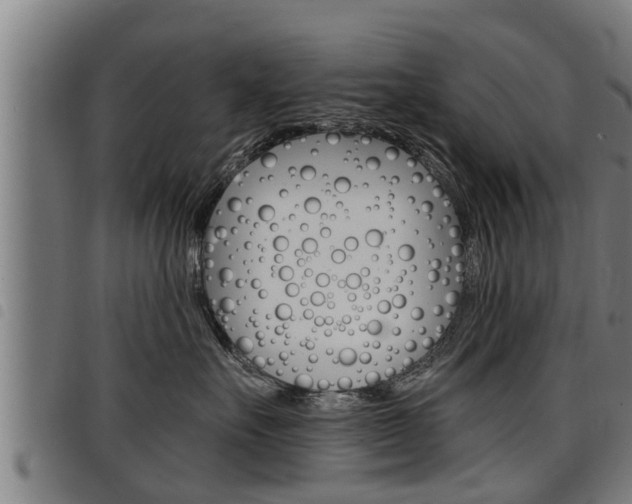 X0000098110527200804040804