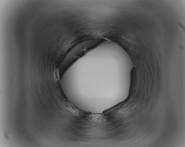 X0000098110528200804040804