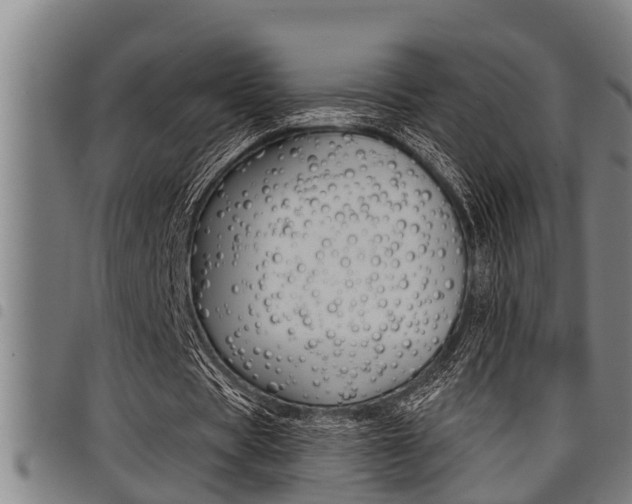 X0000098110529200804040803