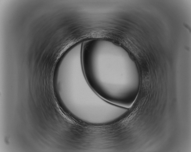 X0000098110530200804040803