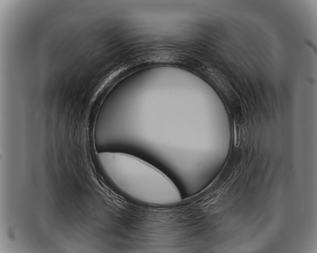 X0000098110531200804040803