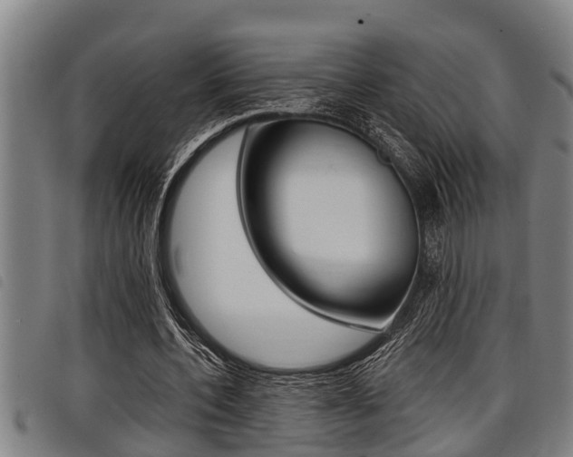 X0000098110532200804040803