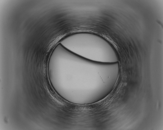 X0000098110533200804040803