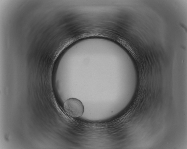 X0000098110534200804040803
