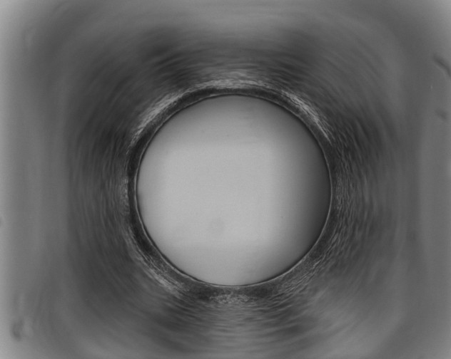 X0000098110535200804040803