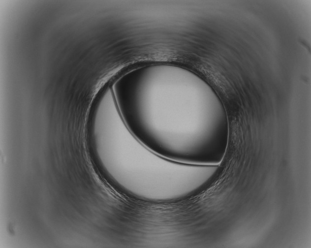 X0000098110536200804040803