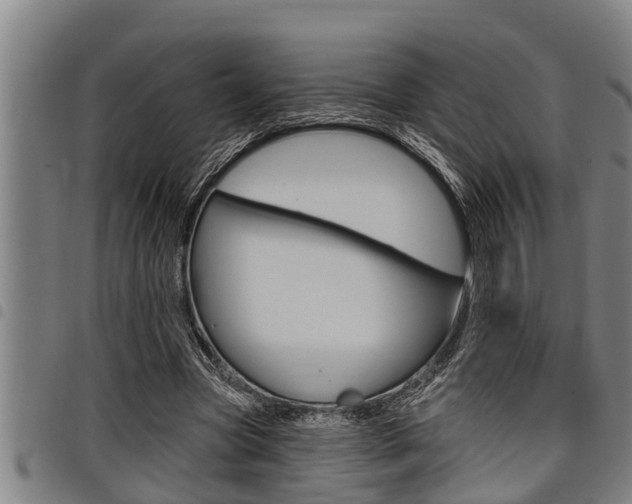 X0000098110537200804040803