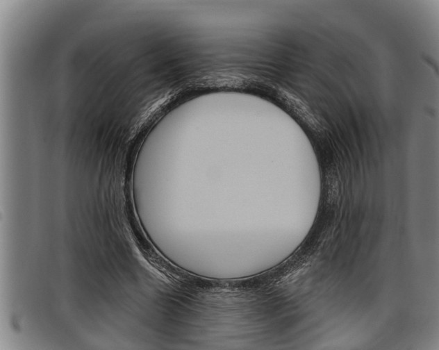 X0000098110538200804040803