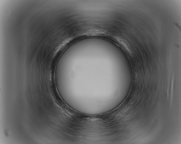 X0000098110539200804040803