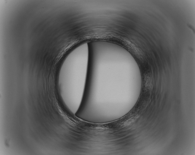 X0000098110542200804040803