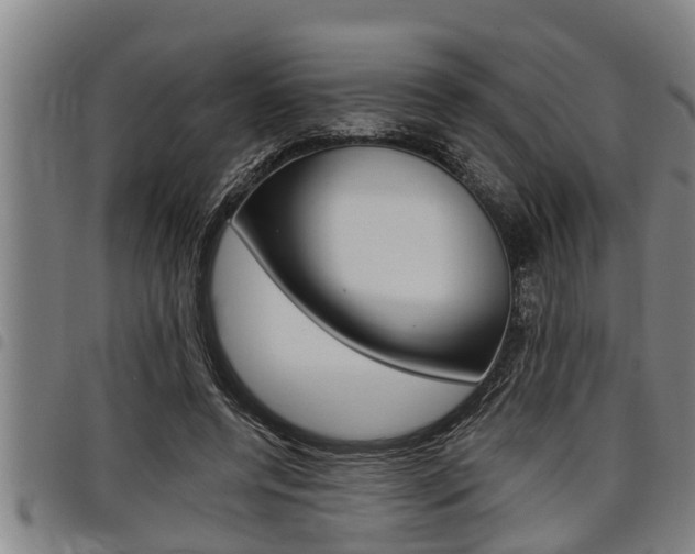 X0000098110544200804040803