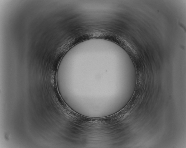 X0000098110545200804040803